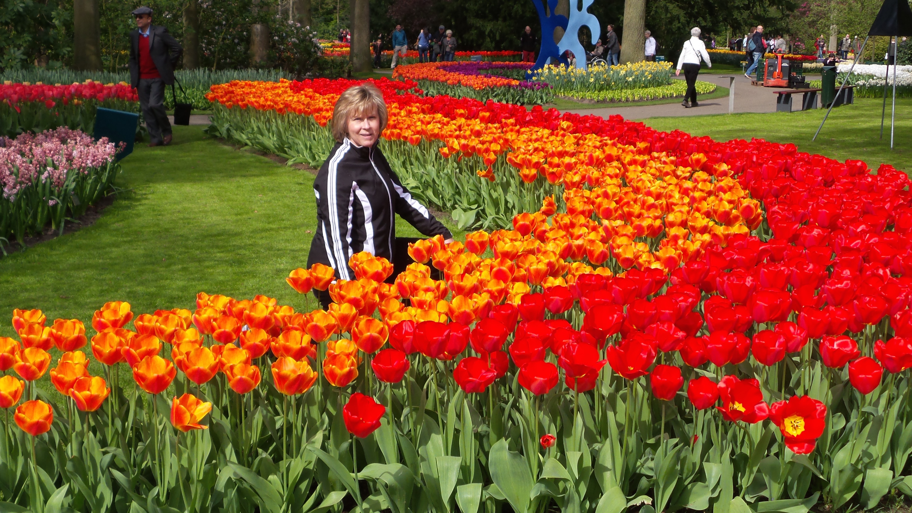 2014-04-17 Holland Tulips 25.jpg
